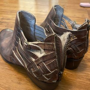 Freebird by Steven Booties